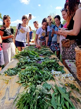 festival-divje-hrane