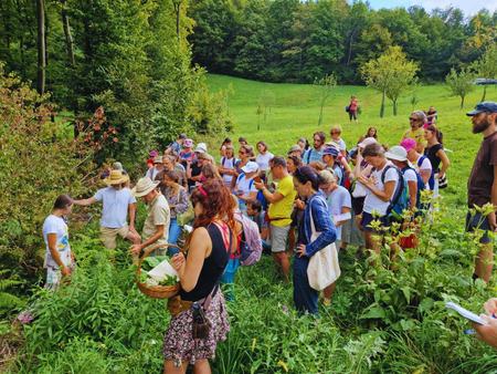 nabiralniska-delavnica
